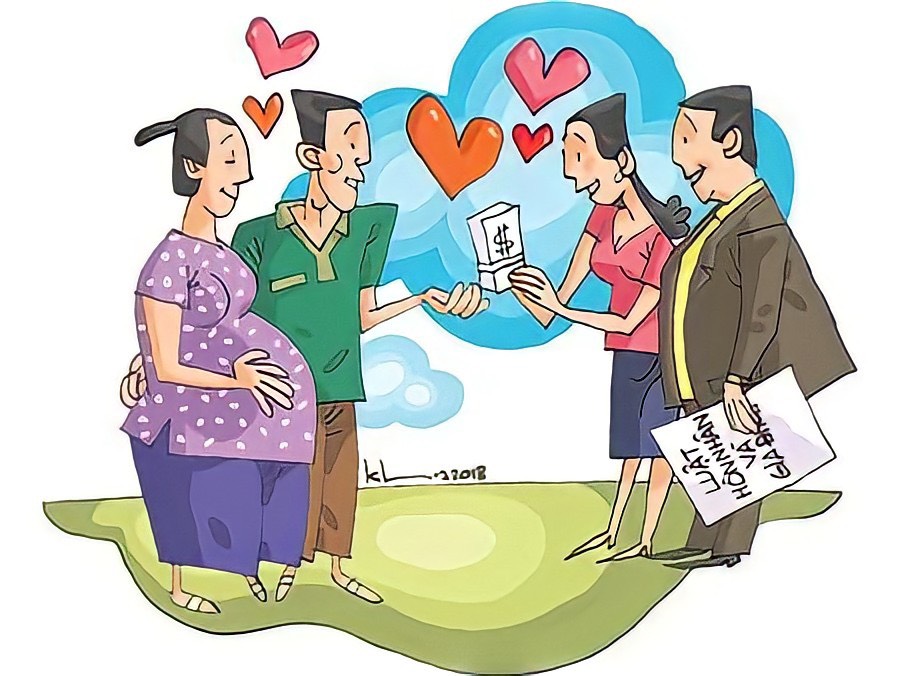Pháp luật chỉ cho phép mang thai hộ vì mục đích nhân đạo - ảnh 1