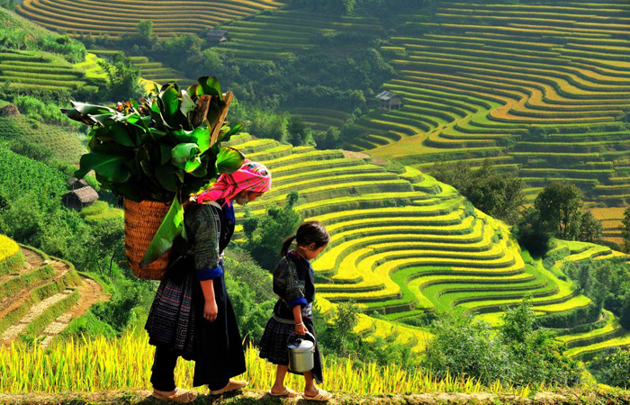 Phấn đấu 100% đồng bào dân tộc thiểu số được xem truyền hình và nghe đài phát thanh, cải thiện cơ sở hạ tầng kỹ thuật - ảnh 1