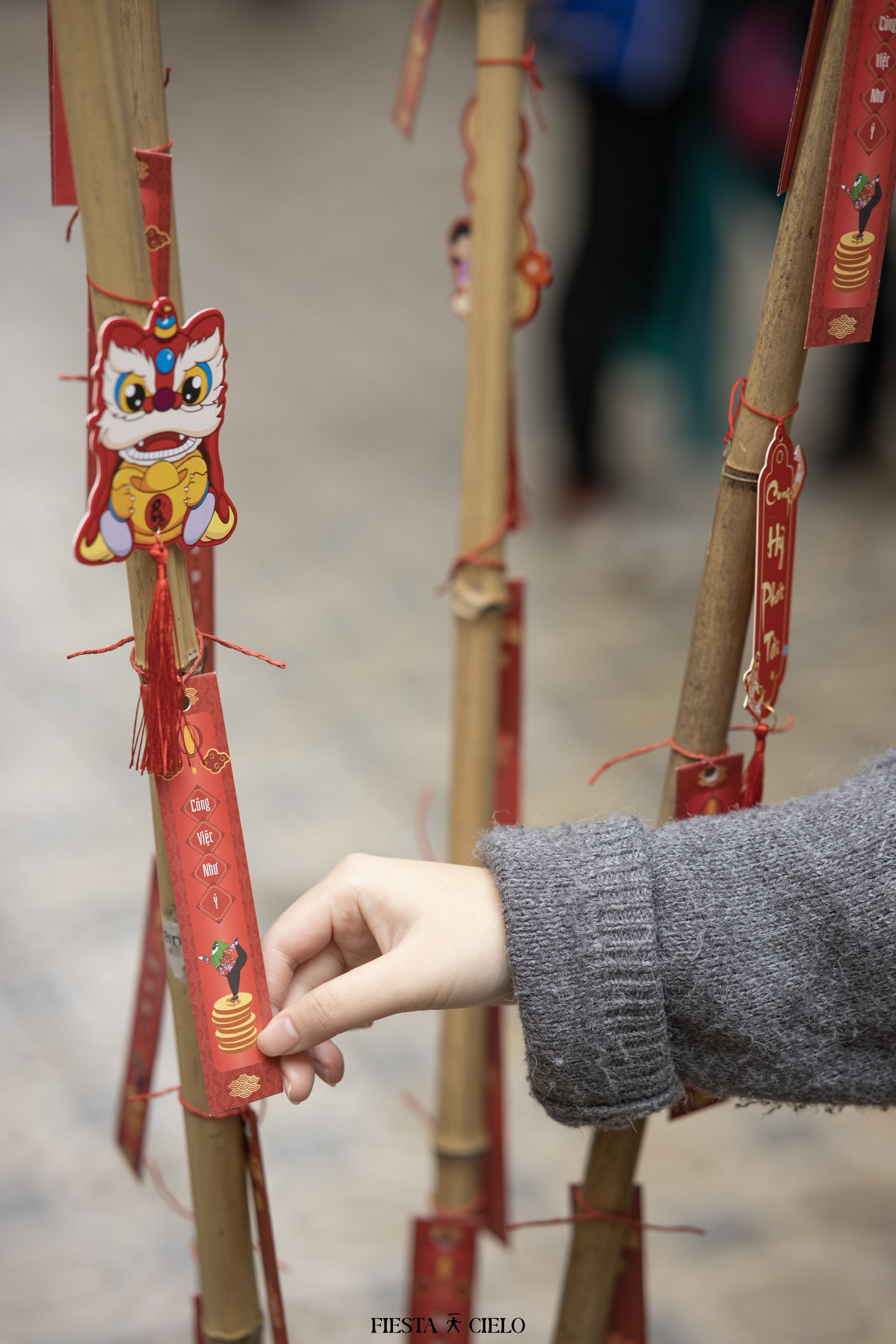 Không khí Tết rộn ràng trong sự kiện “Ngày hội Đổi sách” tại trường Chuyên Sư phạm - ảnh 6