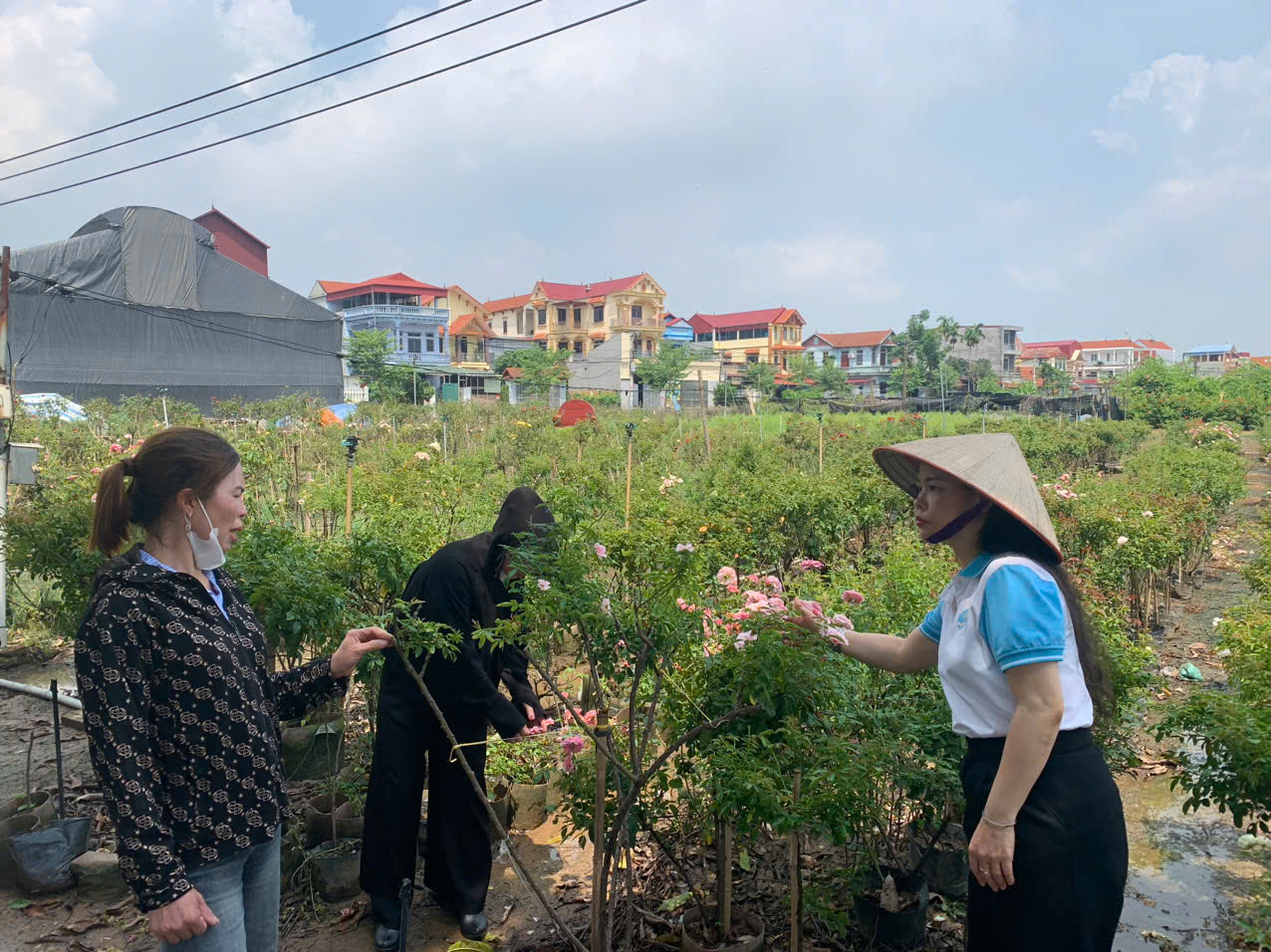 Hội LHPN xã Mê Linh kiểm tra hoạt động ủy thác tại các tổ Tiết kiệm và vay vốn - ảnh 4