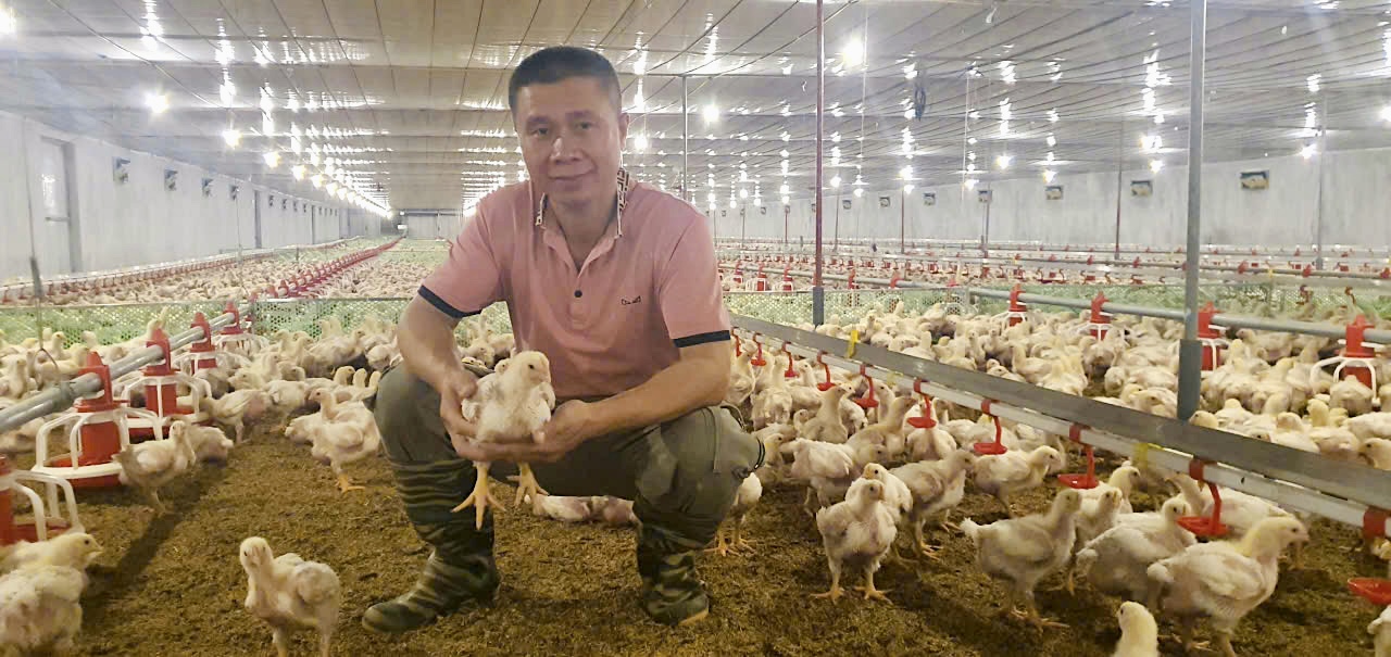 Kỹ sư với mô hình chăn nuôi hiện đại ứng dụng công nghệ số hiệu quả - ảnh 1