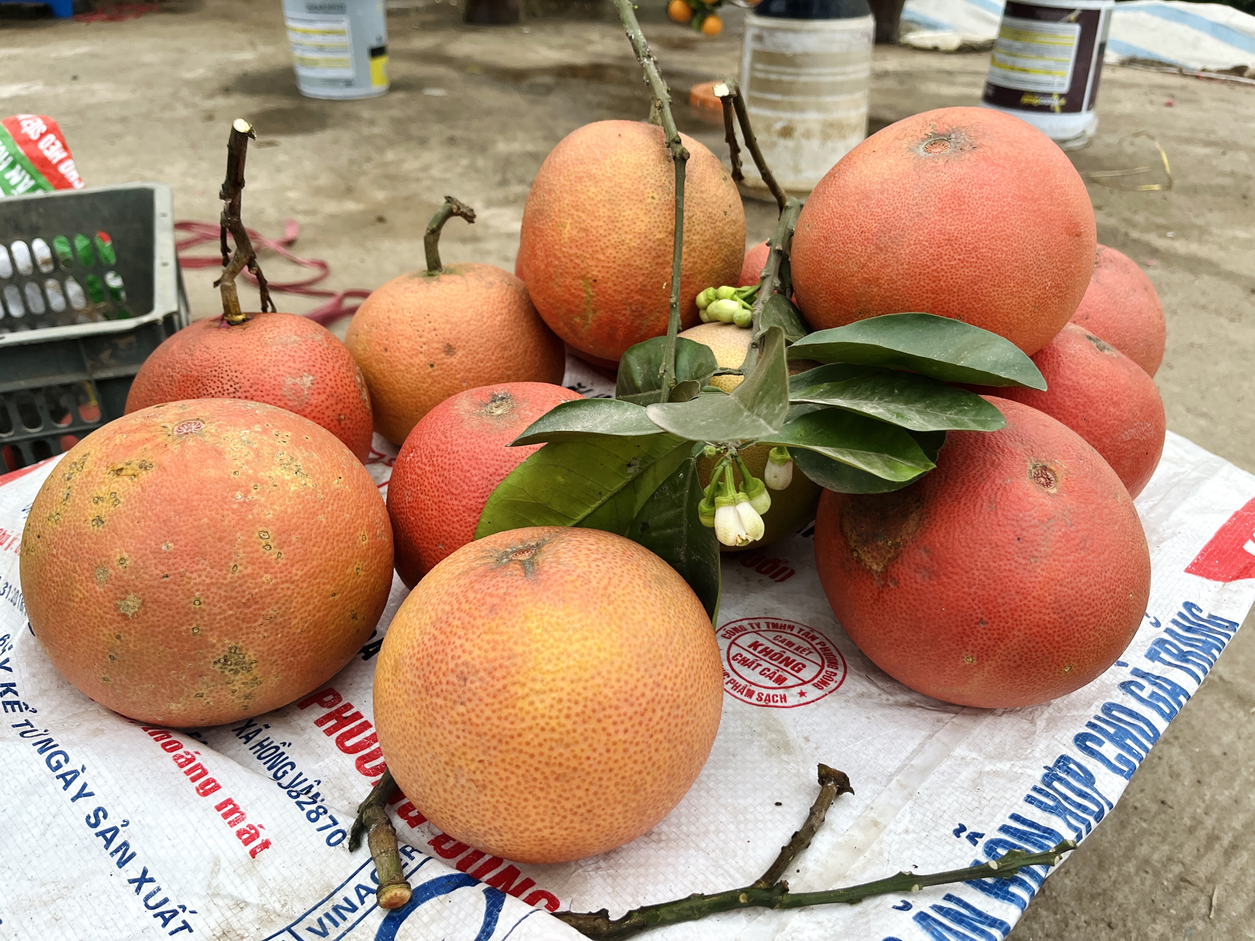 Người dân tấp nập mua sắm ngày 29 Tết, trái cây ngũ quả hút hàng - ảnh 1