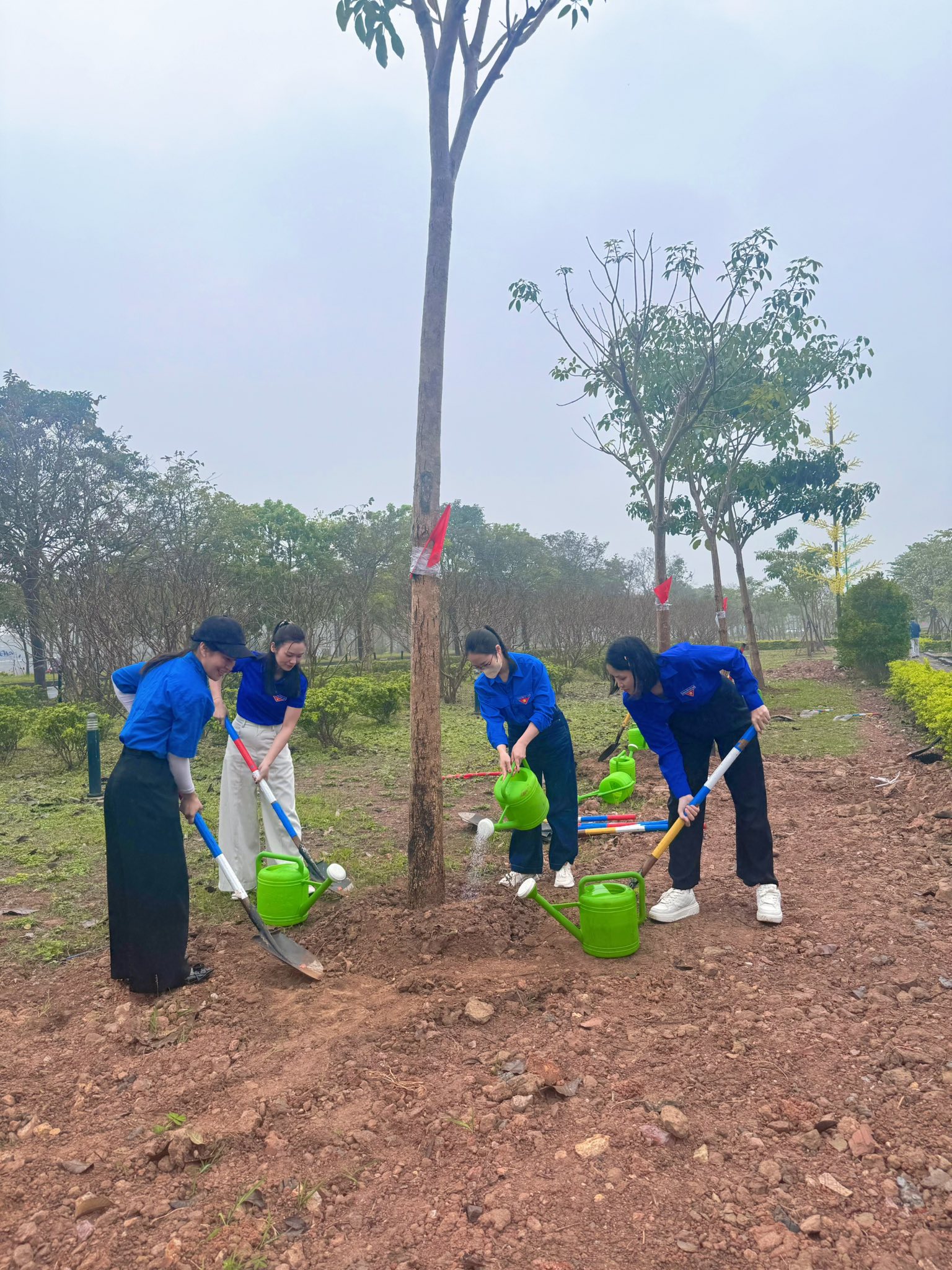 Xã Quang Minh phát huy vai trò của đoàn viên, thanh niên, hội viên các đoàn thể trong chăm sóc và bảo vệ cây xanh - ảnh 6