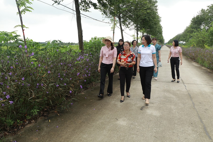 Phía sau những đoạn đường, tuyến phố bích họa, nở hoa - ảnh 5