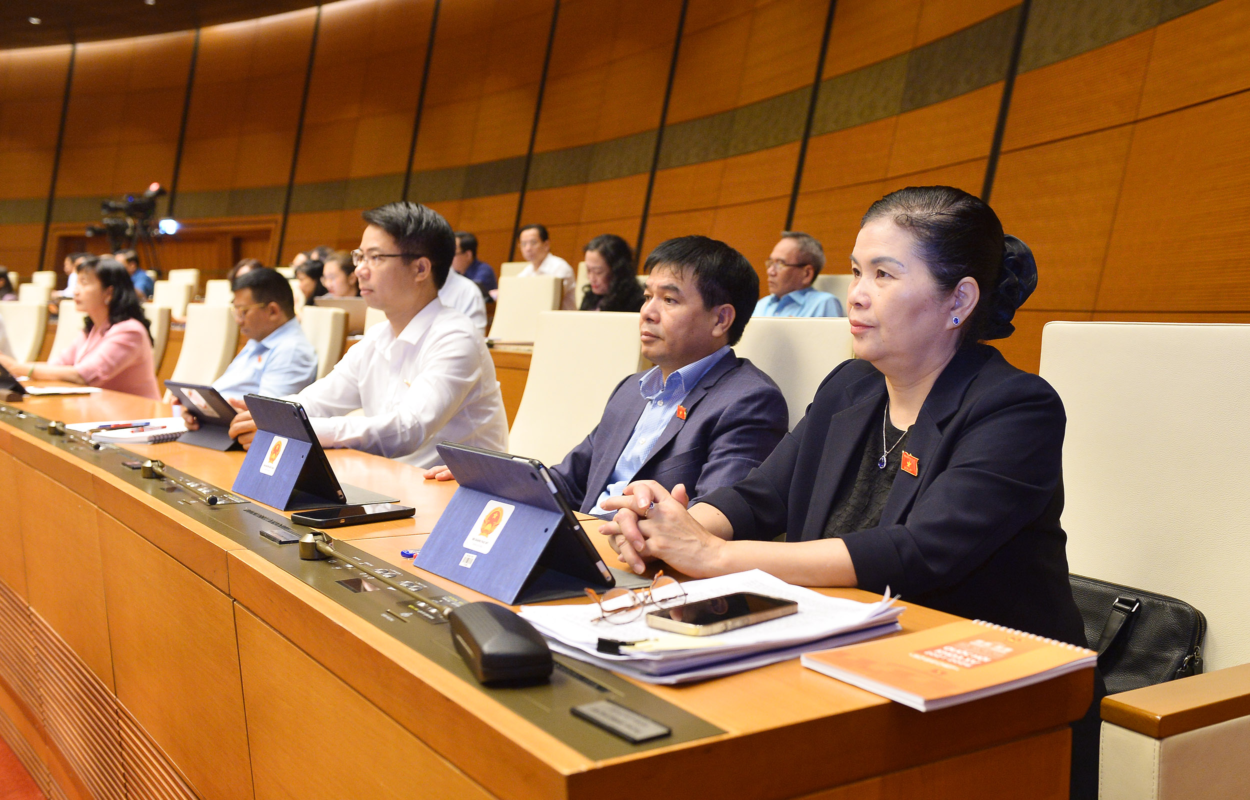Bổ sung biện pháp “thực hiện công việc phục vụ cộng đồng” để xử lý hành vi bạo lực gia đình - ảnh 2