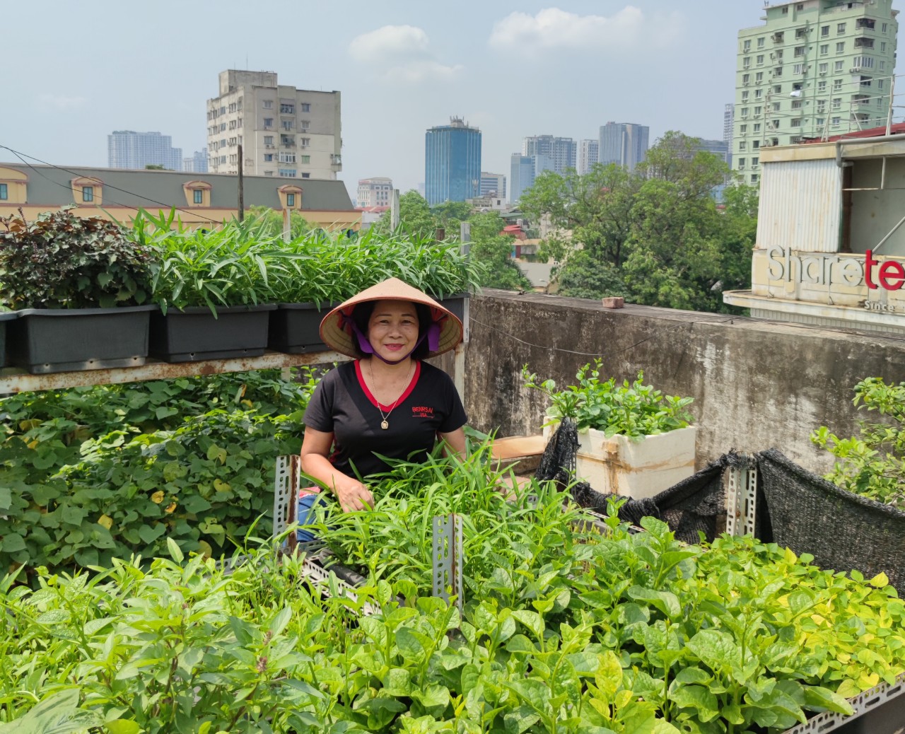 Những “Vườn rau sạch tại nhà” đẹp lung linh của phụ nữ Đống Đa - ảnh 4