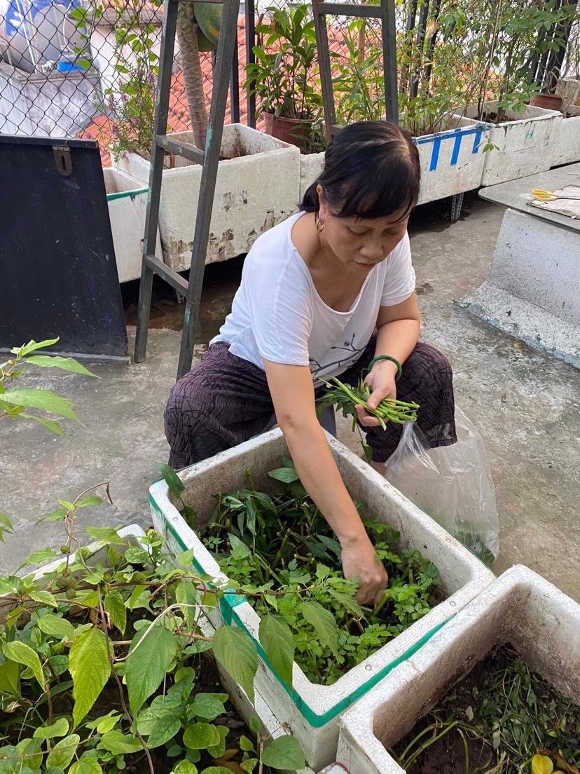 Những “Vườn rau sạch tại nhà” đẹp lung linh của phụ nữ Đống Đa - ảnh 10