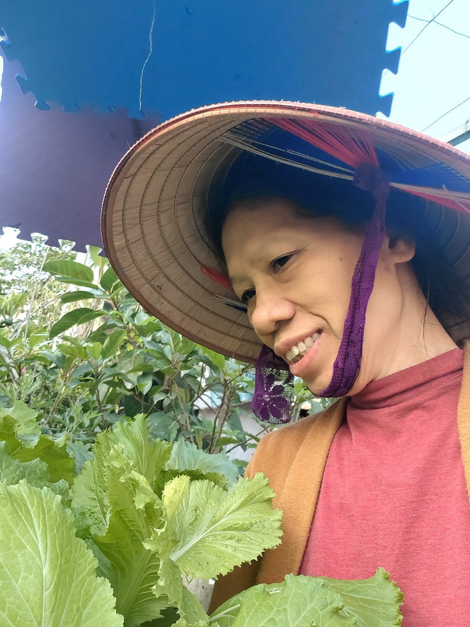 Những “Vườn rau sạch tại nhà” đẹp lung linh của phụ nữ Đống Đa - ảnh 12