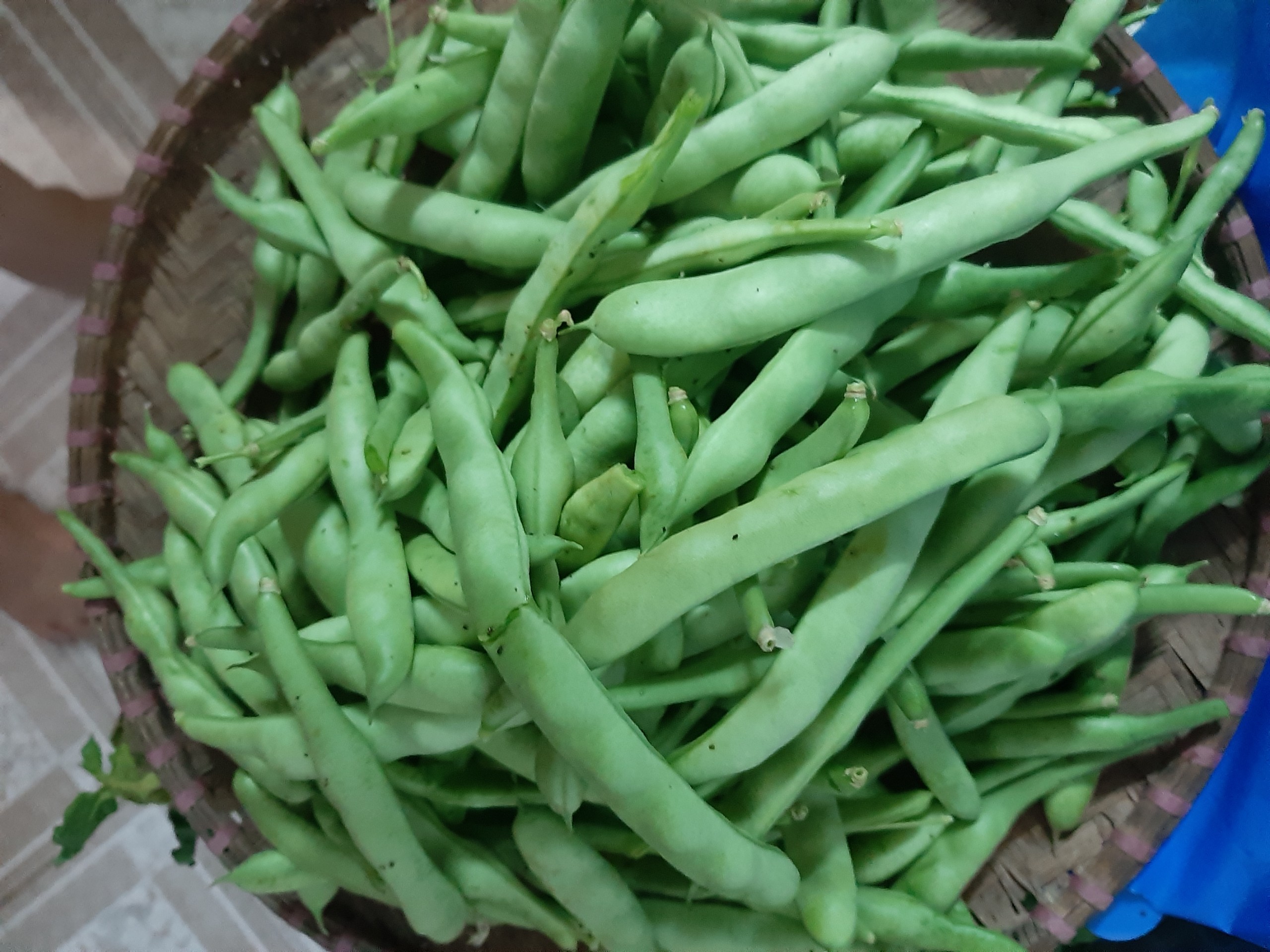 Những “Vườn rau sạch tại nhà” đẹp lung linh của phụ nữ Đống Đa - ảnh 7