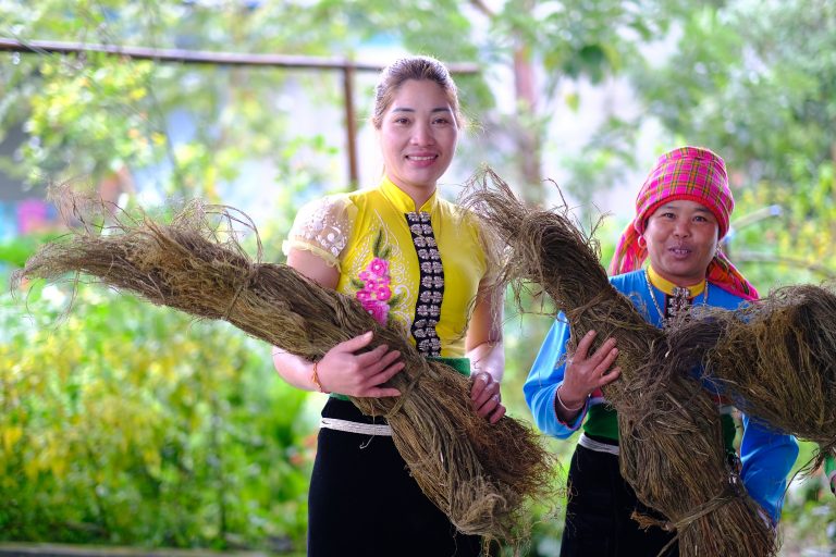Cây gai xanh giúp phụ nữ dân tộc đổi đời - ảnh 1