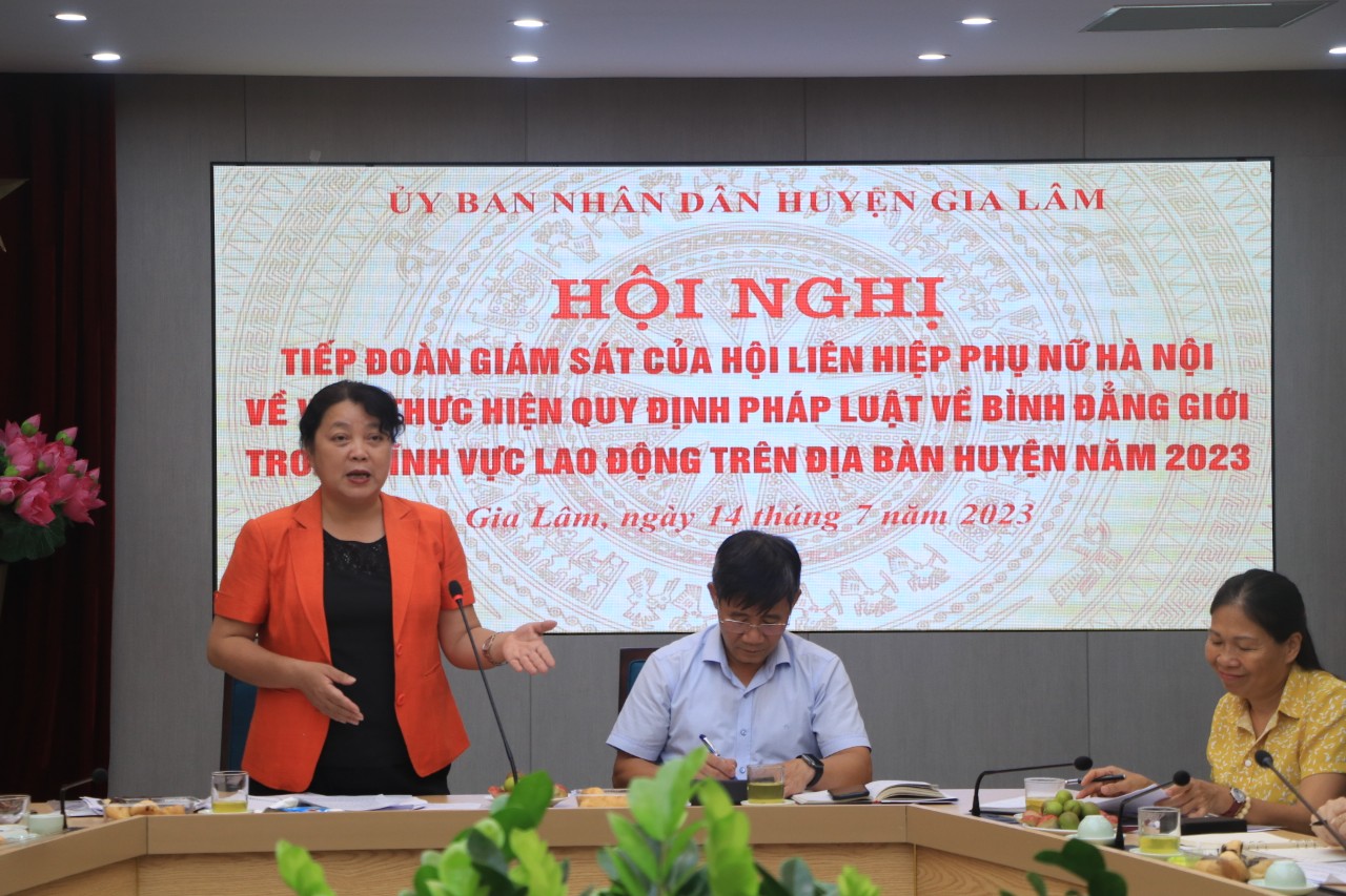 Tránh “nói nhiều làm ít” trong thực hiện chính sách bình đẳng giới - ảnh 5