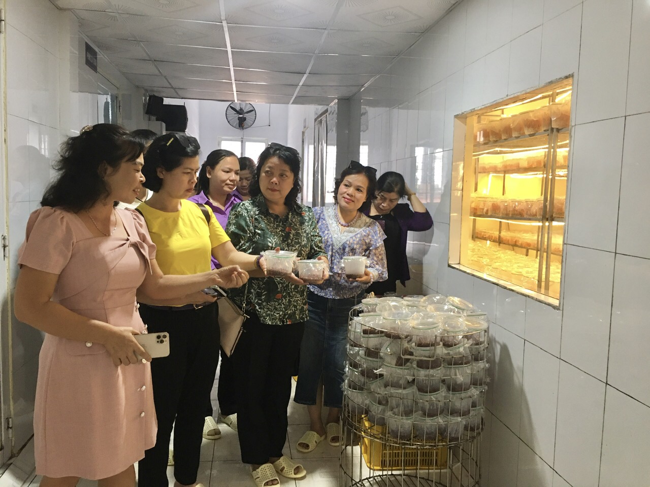Thăm mô hình kinh tế do hội viên phụ nữ làm chủ - ảnh 2