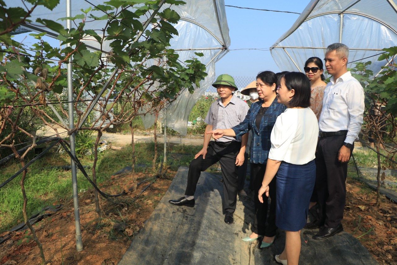 Tăng cường trách nhiệm của chính quyền trong thực thi chính sách liên quan đến phụ nữ - ảnh 4