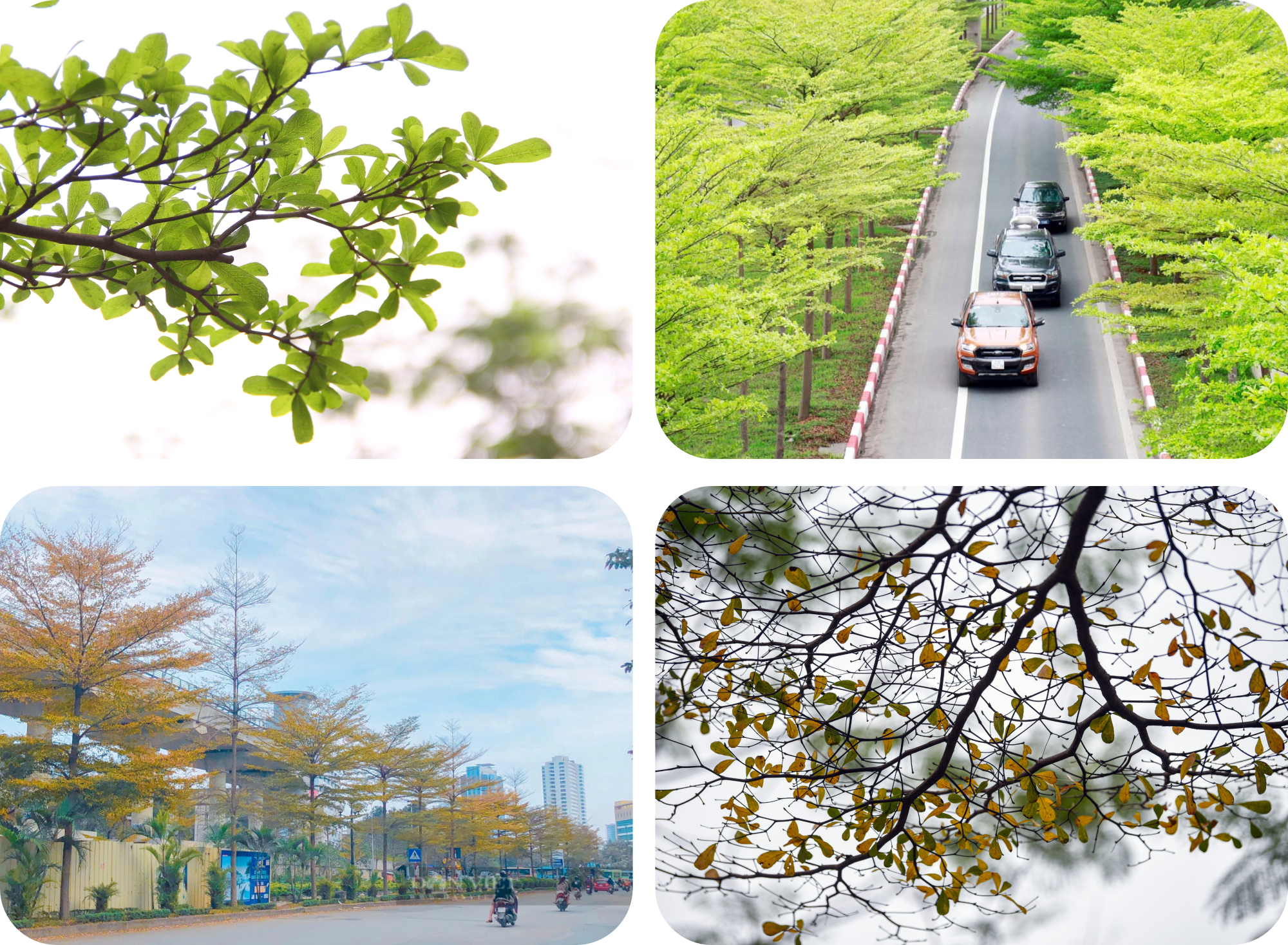 Kỳ 3: Mỗi người Hà Nội là một chiến sĩ chống giặc - ảnh 6
