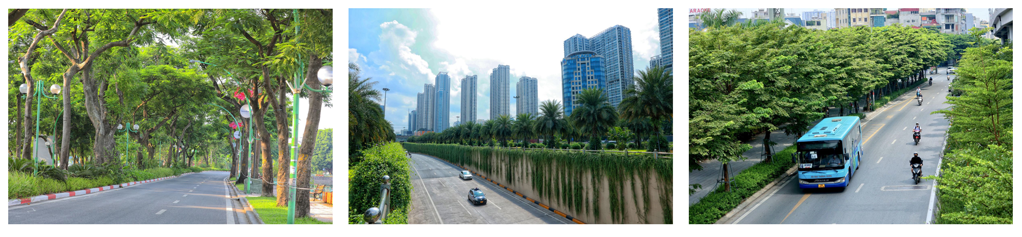 Những công dân Thủ đô nỗ lực “tô màu xanh” cho Thành phố - ảnh 20