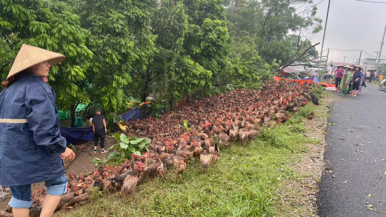 Huyện Đông Anh: Xúc động hình ảnh trắng đêm đưa người dân sơ tán tới nơi an toàn - ảnh 3