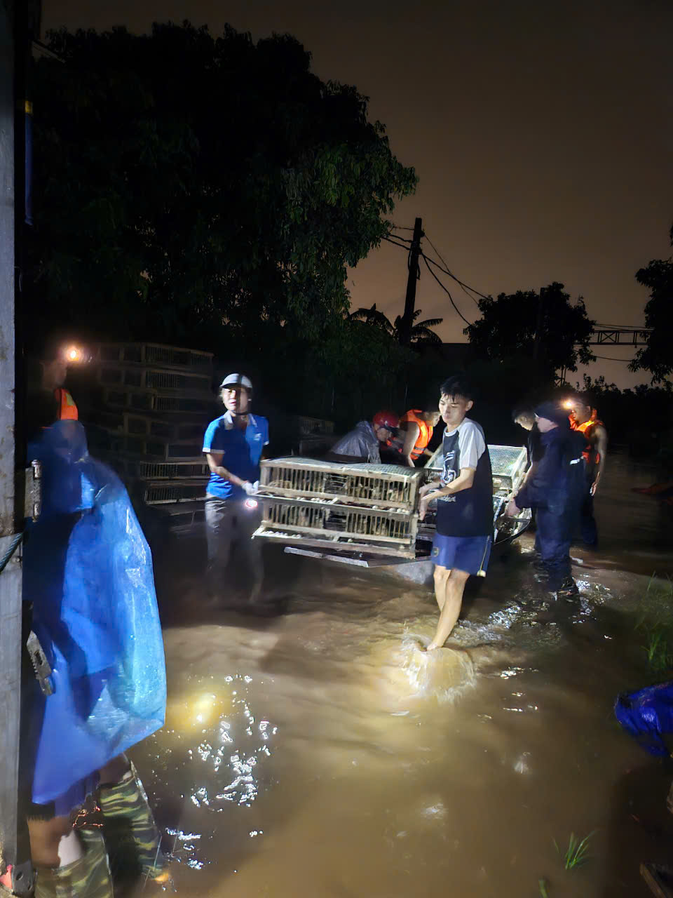 Huyện Đông Anh: Xúc động hình ảnh trắng đêm đưa người dân sơ tán tới nơi an toàn - ảnh 18