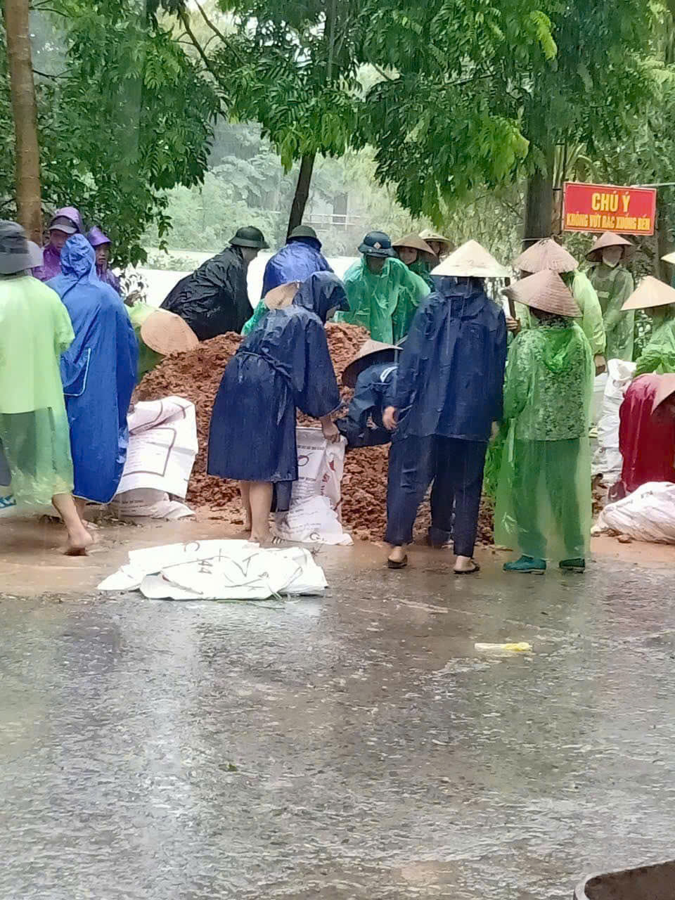 Hình ảnh đẹp của các cấp công đoàn Hà Nội tham gia hộ đê, giúp dân sơ tán tránh lũ - ảnh 8