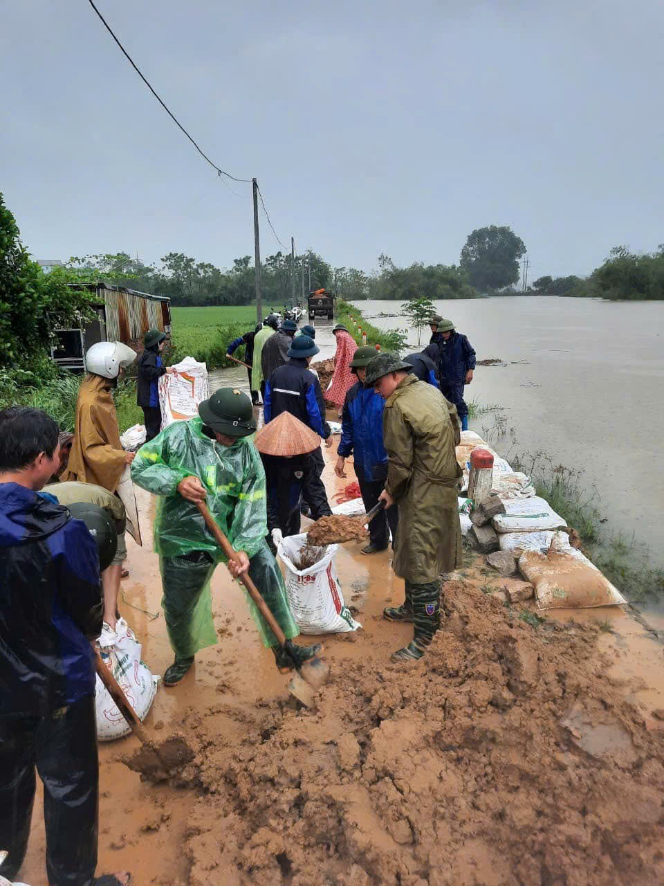 Hình ảnh đẹp của các cấp công đoàn Hà Nội tham gia hộ đê, giúp dân sơ tán tránh lũ - ảnh 6