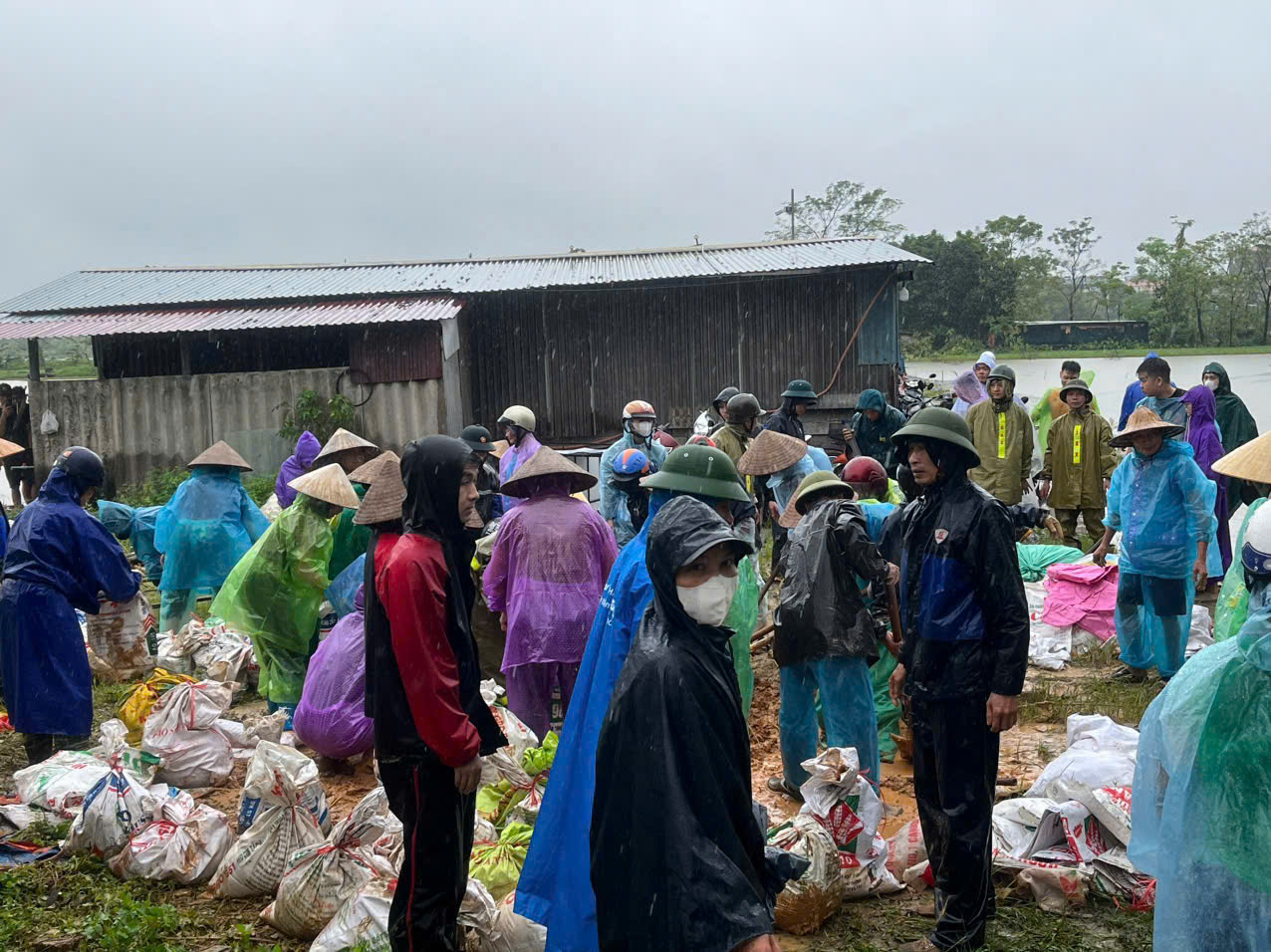Hội LHPN huyện Đông Anh: Thăm hỏi, hỗ trợ người dân khu vực phải di dời tránh lũ - ảnh 5