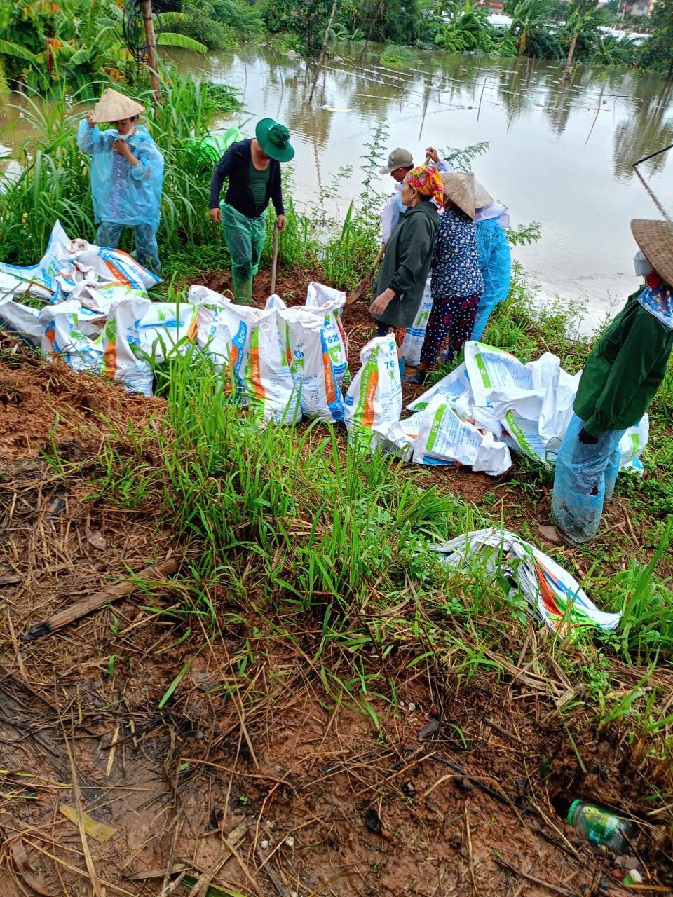 Hội LHPN huyện Mê Linh: Thăm, tặng nhu yếu phẩm, gói bánh Chưng hỗ trợ người dân bị ảnh hưởng bởi lũ lụt - ảnh 5