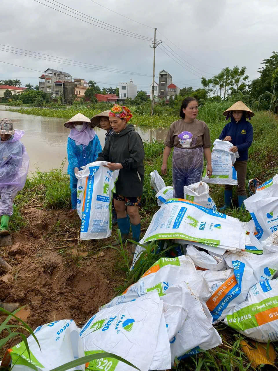 Hội LHPN huyện Mê Linh: Thăm, tặng nhu yếu phẩm, gói bánh Chưng hỗ trợ người dân bị ảnh hưởng bởi lũ lụt - ảnh 4