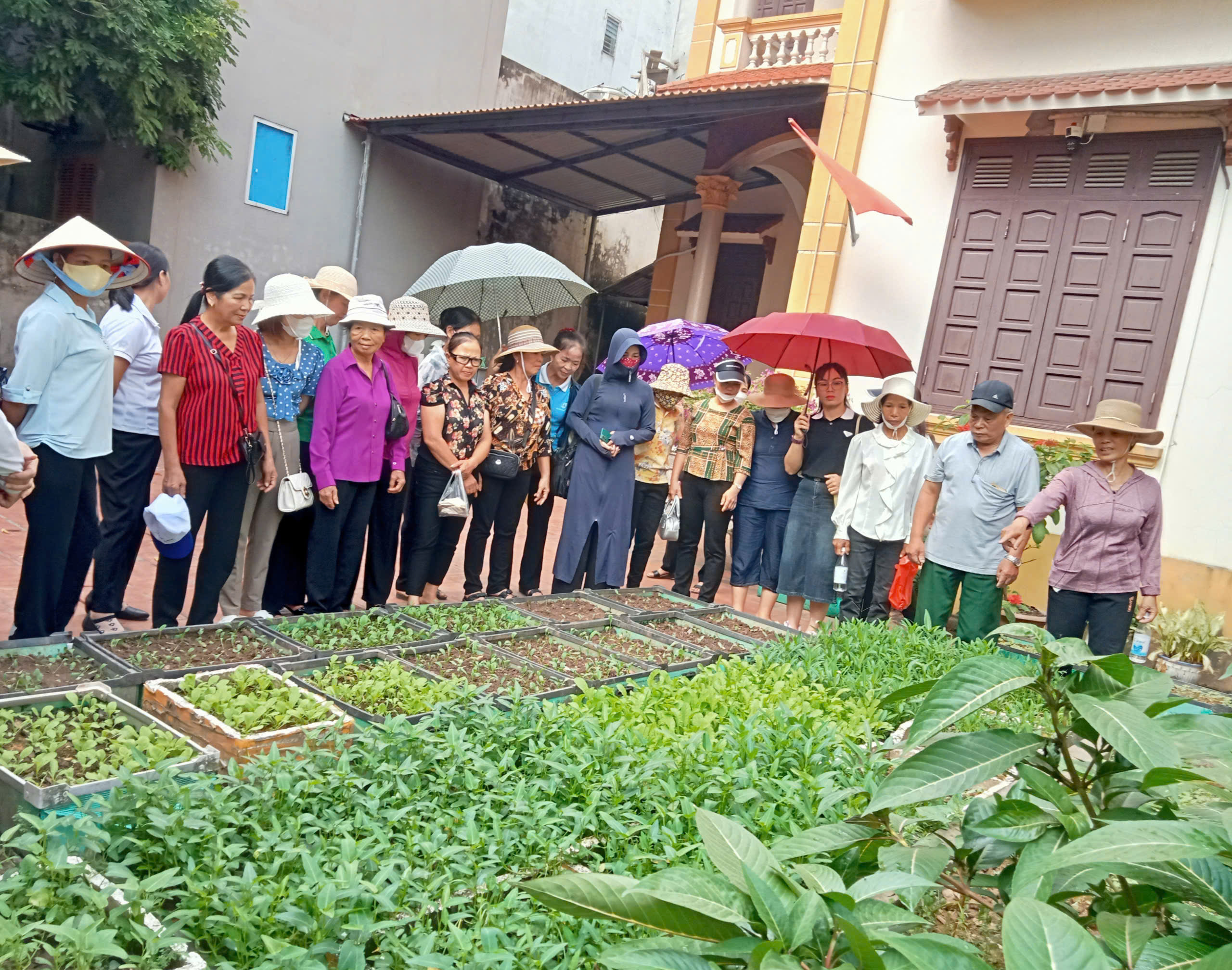 Hội LHPN huyện Ba Vì: Tham quan, học tập mô hình phân loại, xử lý rác thải tại Đông Anh - ảnh 2