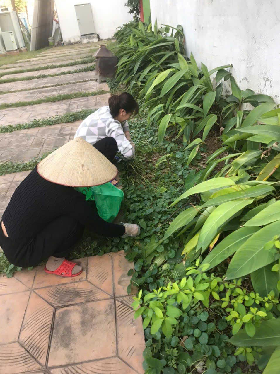 Các cấp Hội LHPN huyện Đông Anh: Tổng vệ sinh môi trường chào đón năm mới - ảnh 13