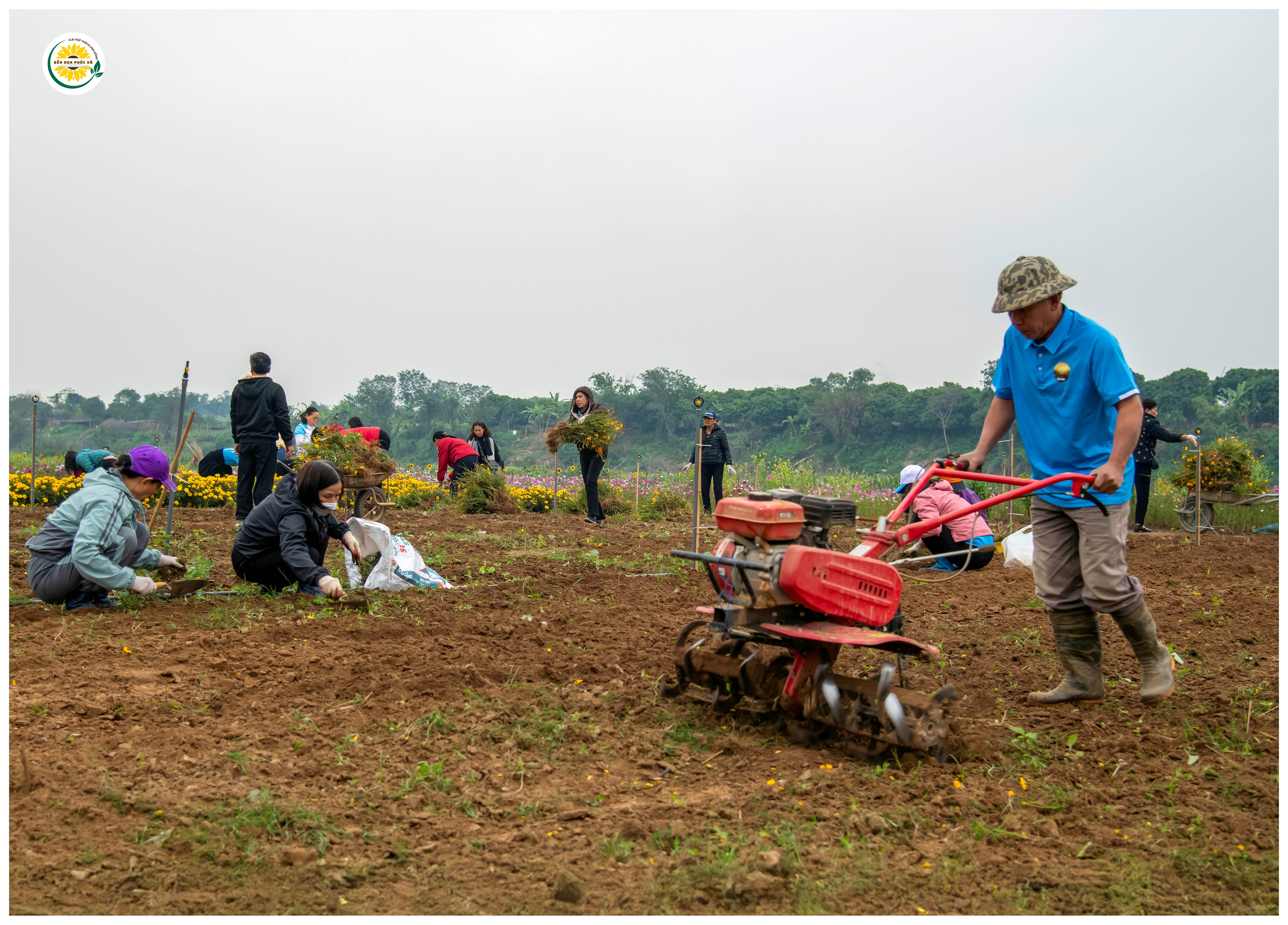 Nghe “bến hoa” kể chuyện được “hồi sinh“ - ảnh 13