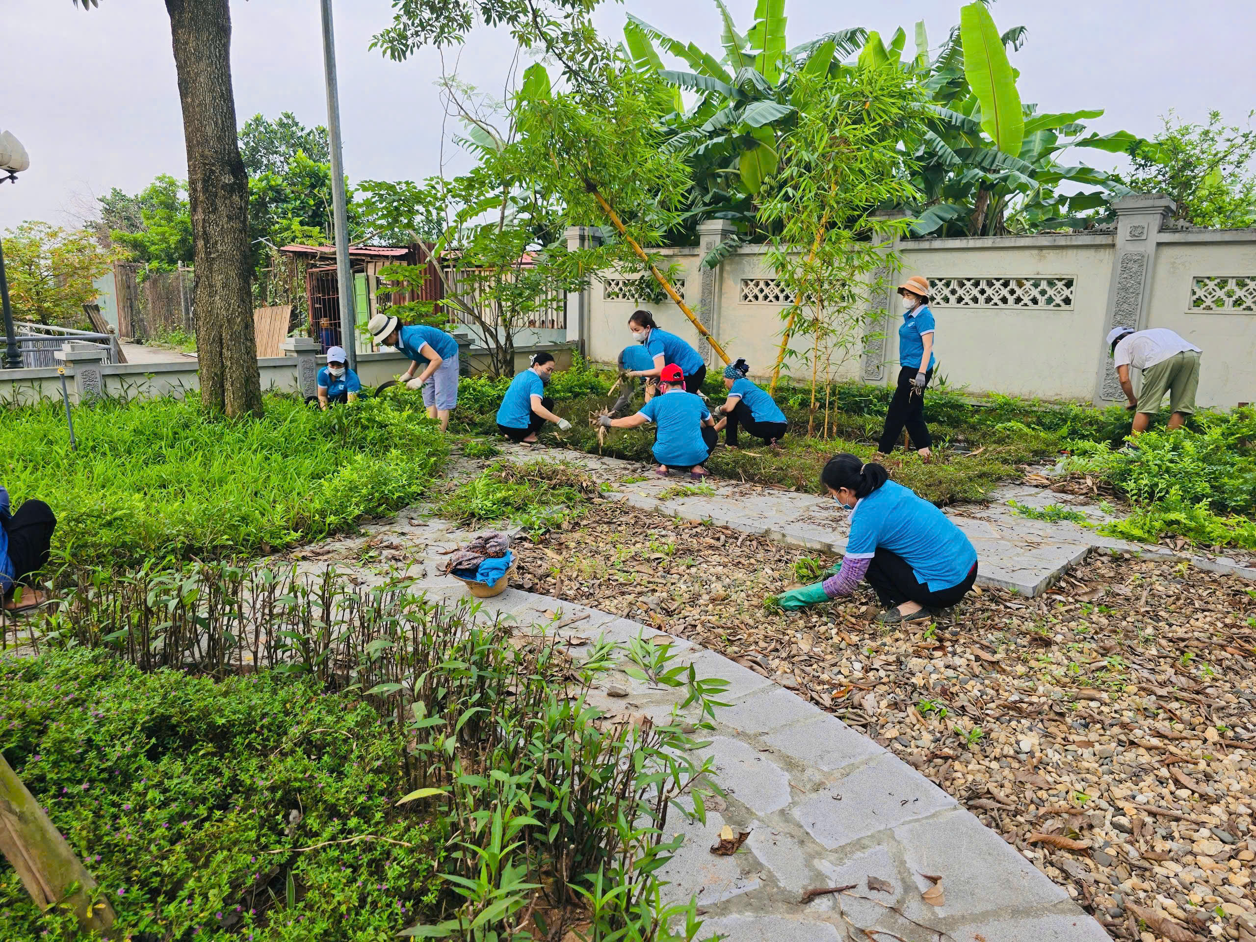 “Ngày cuối tuần xanh” của phụ nữ Hà Nội - ảnh 8
