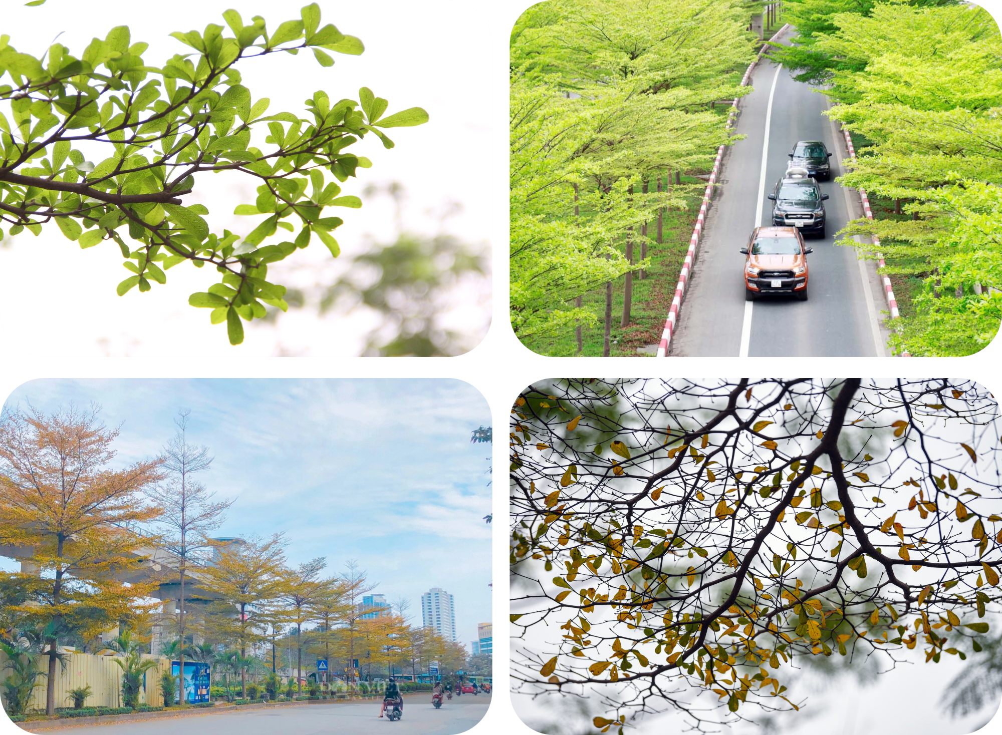 Kỳ 4: Hà Nội làm tốt công tác tôn giáo, bảo vệ nền tảng tư tưởng của Đảng - ảnh 4