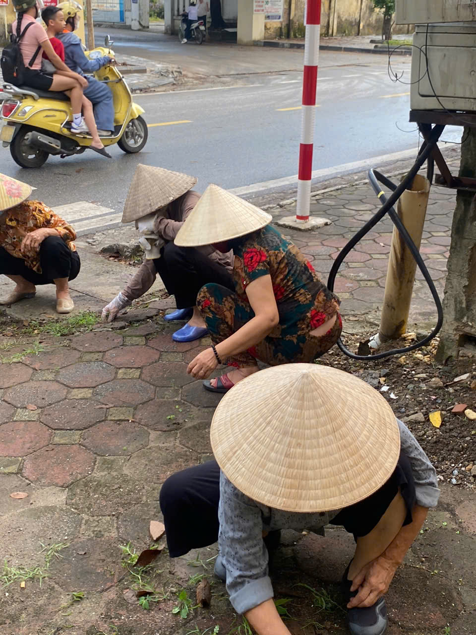 Hội LHPN Thư Lâm: Tích cực phát huy phong trào “3 sạch”, tham gia các hoạt động phong trào - ảnh 1