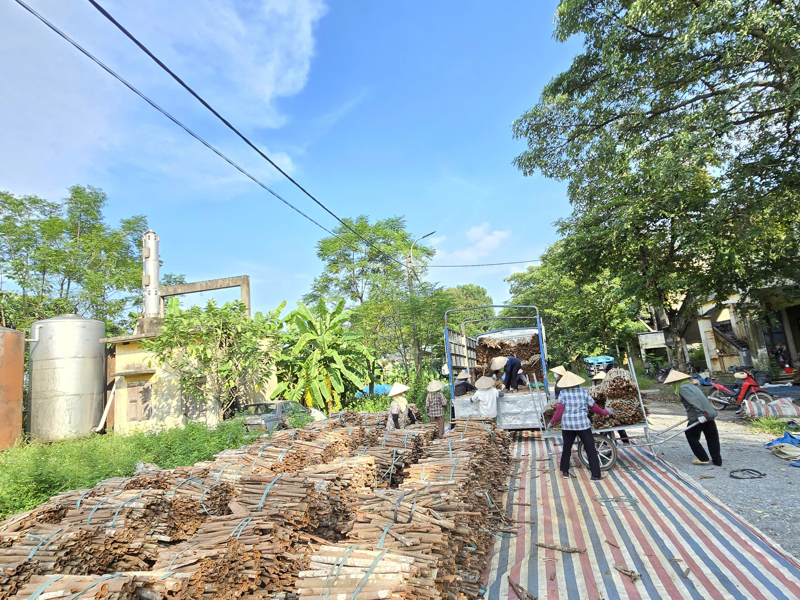 Hội LHPN xã Thư Lâm: Khẩn trương hỗ trợ người dân phòng, chống lũ lụt - ảnh 4