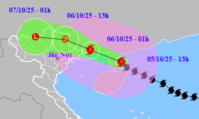 Phường Ngọc Hà: Chủ động ứng phó với bão số 11 - ảnh 1