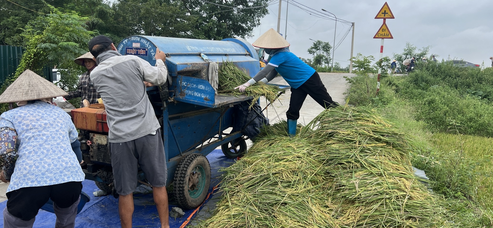 Phụ nữ Thư Lâm chủ động, trách nhiệm ứng phó với bão số 11 - ảnh 3