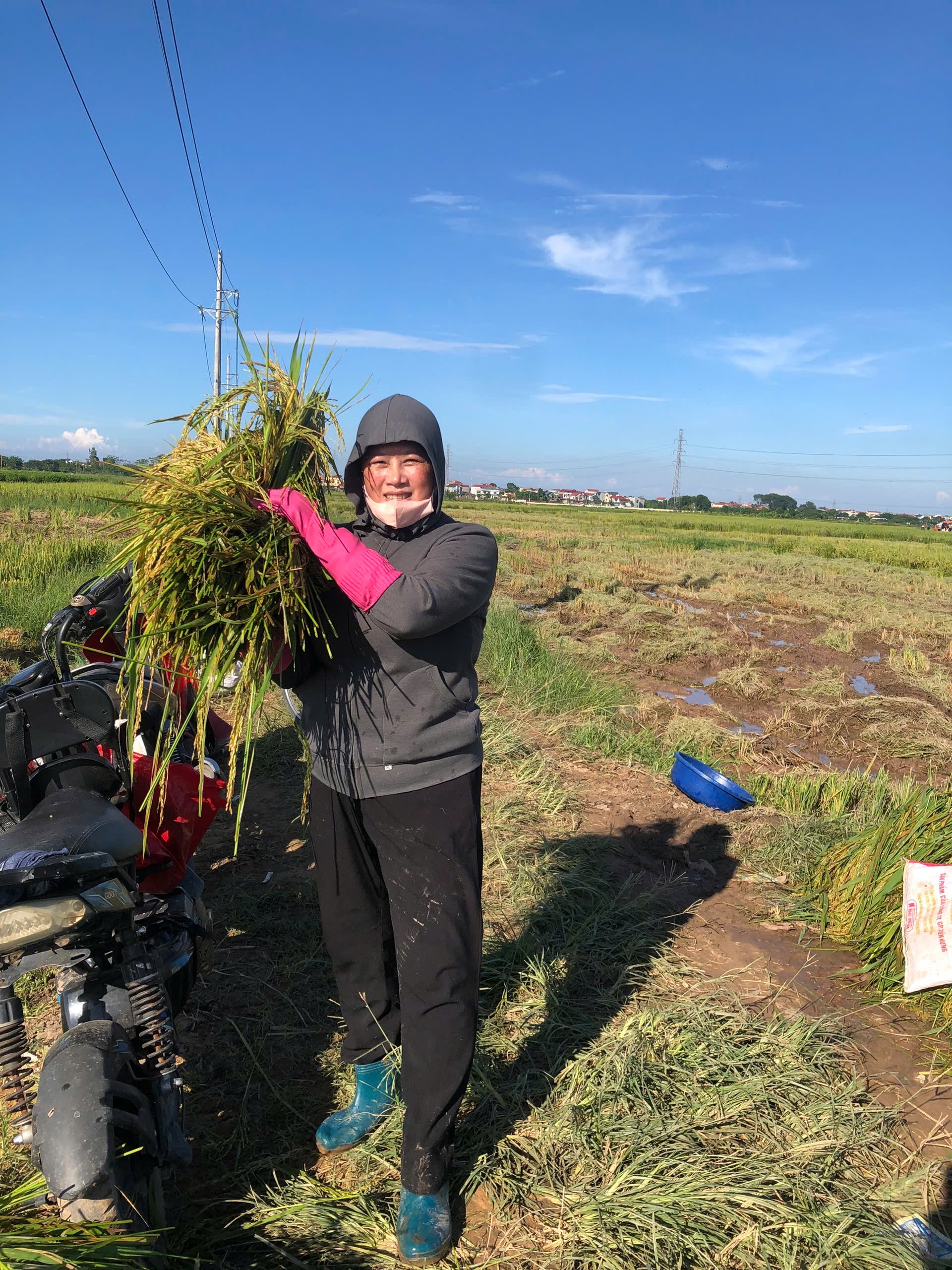 Phụ nữ Thư Lâm chủ động, trách nhiệm ứng phó với bão số 11 - ảnh 9