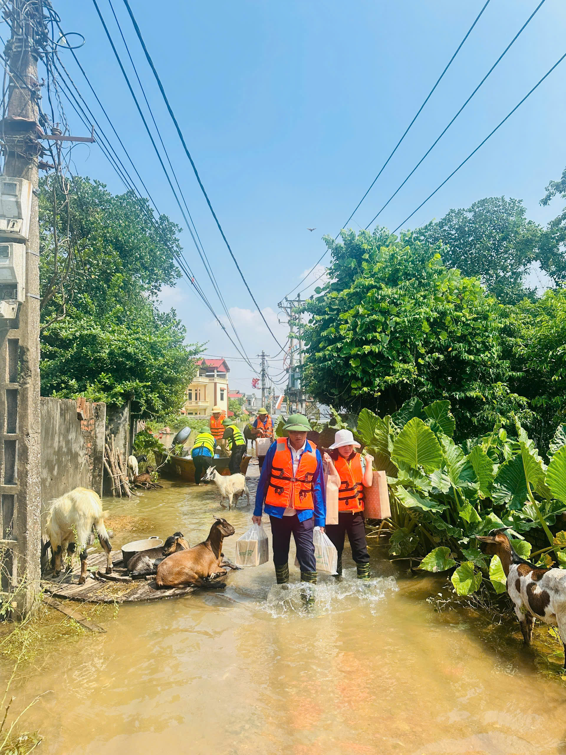 Hội LHPN xã Thư Lâm: Lan tỏa tinh thần đại đoàn kết – sẻ chia cùng các hộ dân vùng ngập lũ - ảnh 4