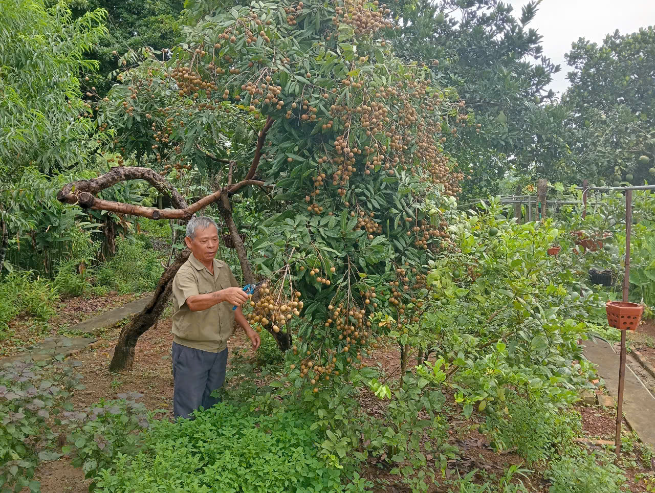 Cán bộ, đảng viên, người dân thi đua đưa Nghị quyết của Đảng vào cuộc sống - ảnh 1