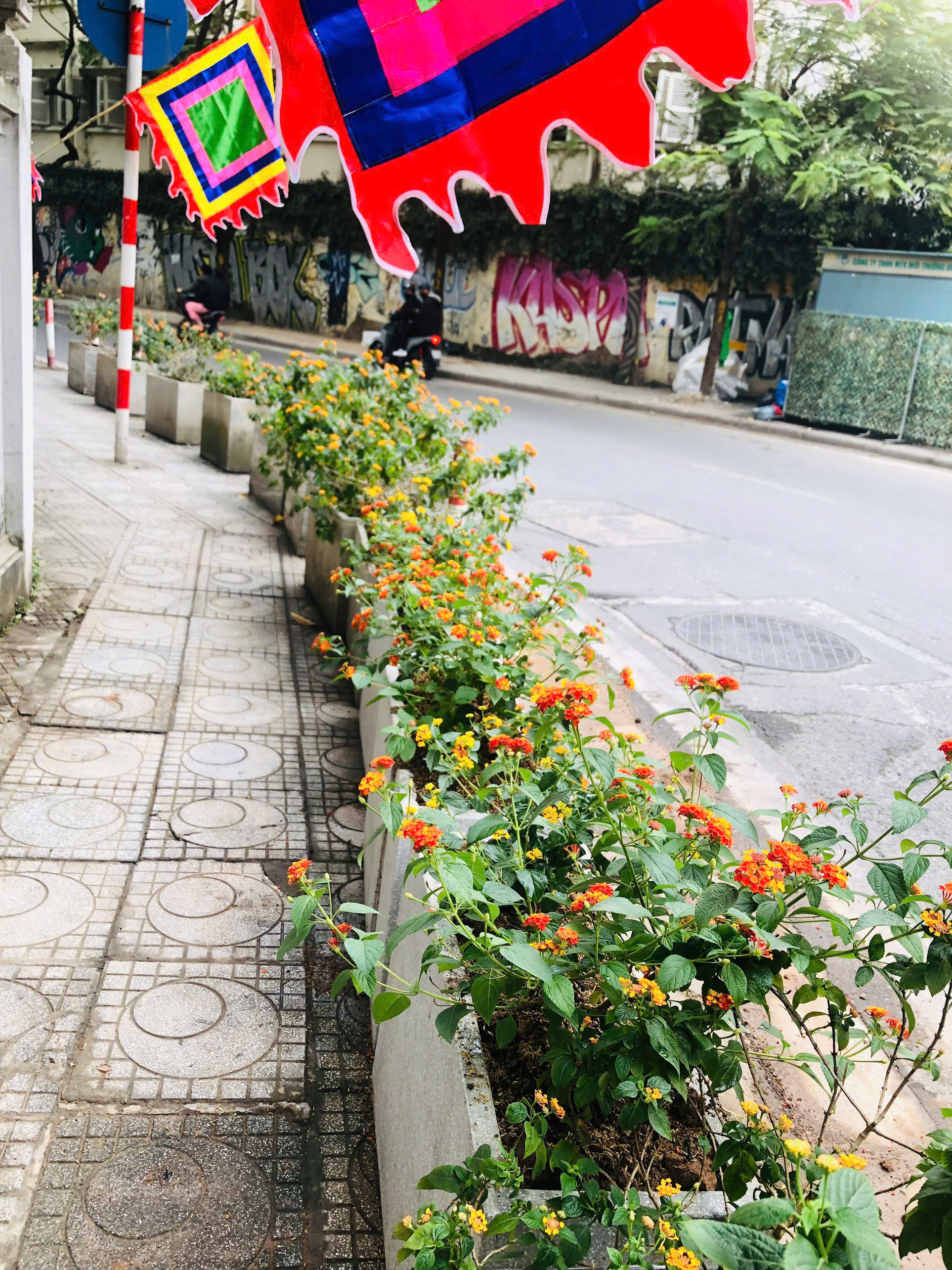 Hội LHPN phường Ba Đình: Gắn biển công trình “Tuyến phố văn minh, đoạn đường xanh nở hoa” - ảnh 4