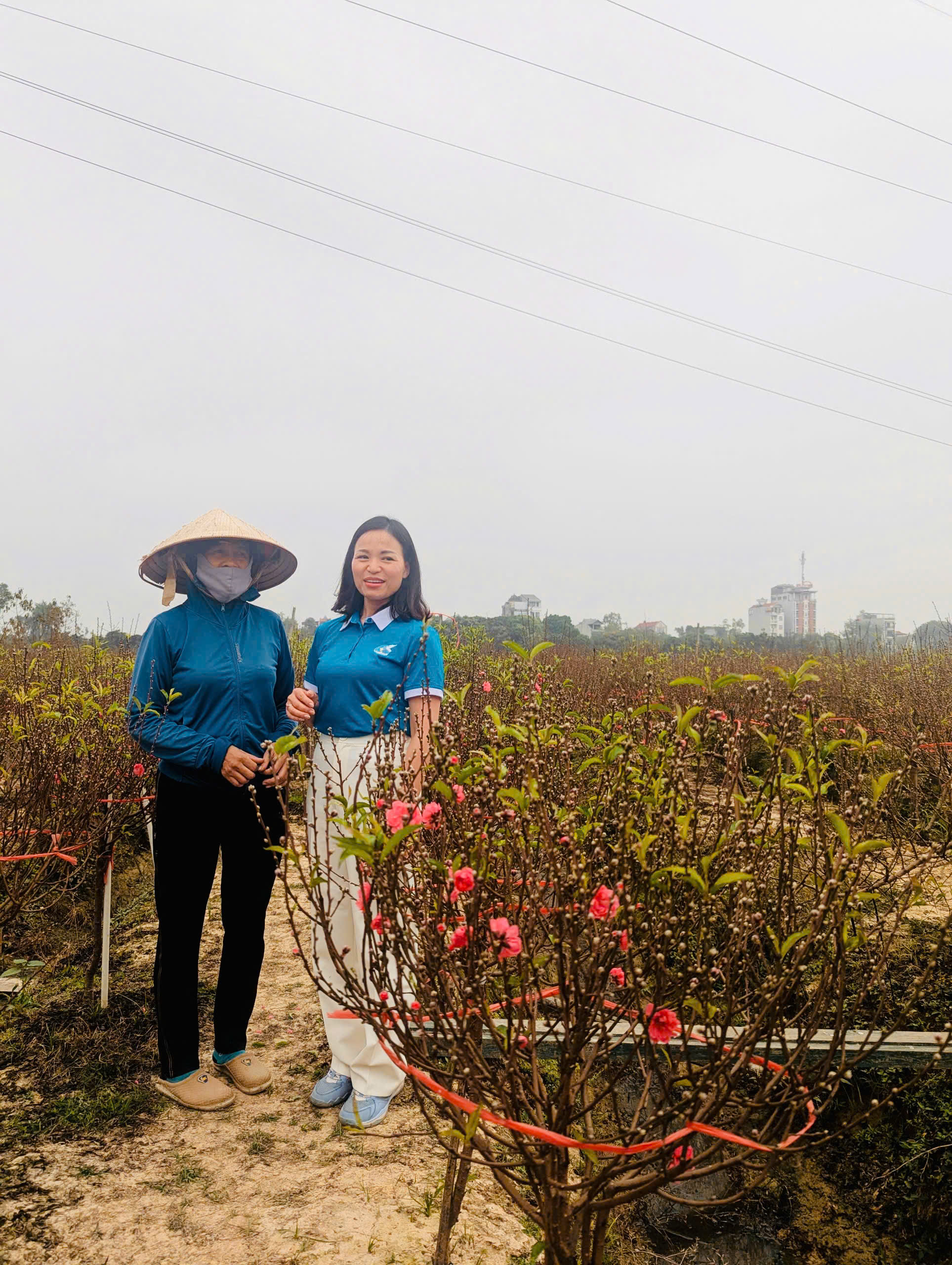 Phụ nữ xã Vĩnh Thanh phát triển kinh tế từ nguồn vốn vay Ngân  hàng Chính sách Xã hội - ảnh 1