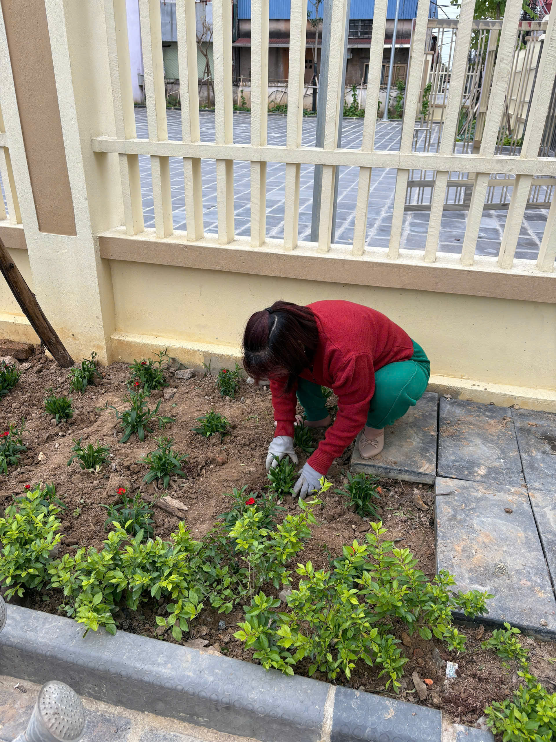 Phụ nữ Thư Lâm: Sôi nổi hưởng ứng cuộc thi “Thôn, khu, tổ dân phố Sáng- Xanh- Sạch- Đẹp- Hiệu quả” - ảnh 2