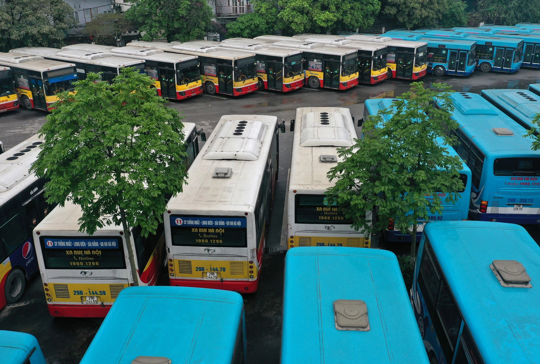 Năm 2025, Hà Nội sẽ chuyển đổi sử dụng xe buýt điện - ảnh 1