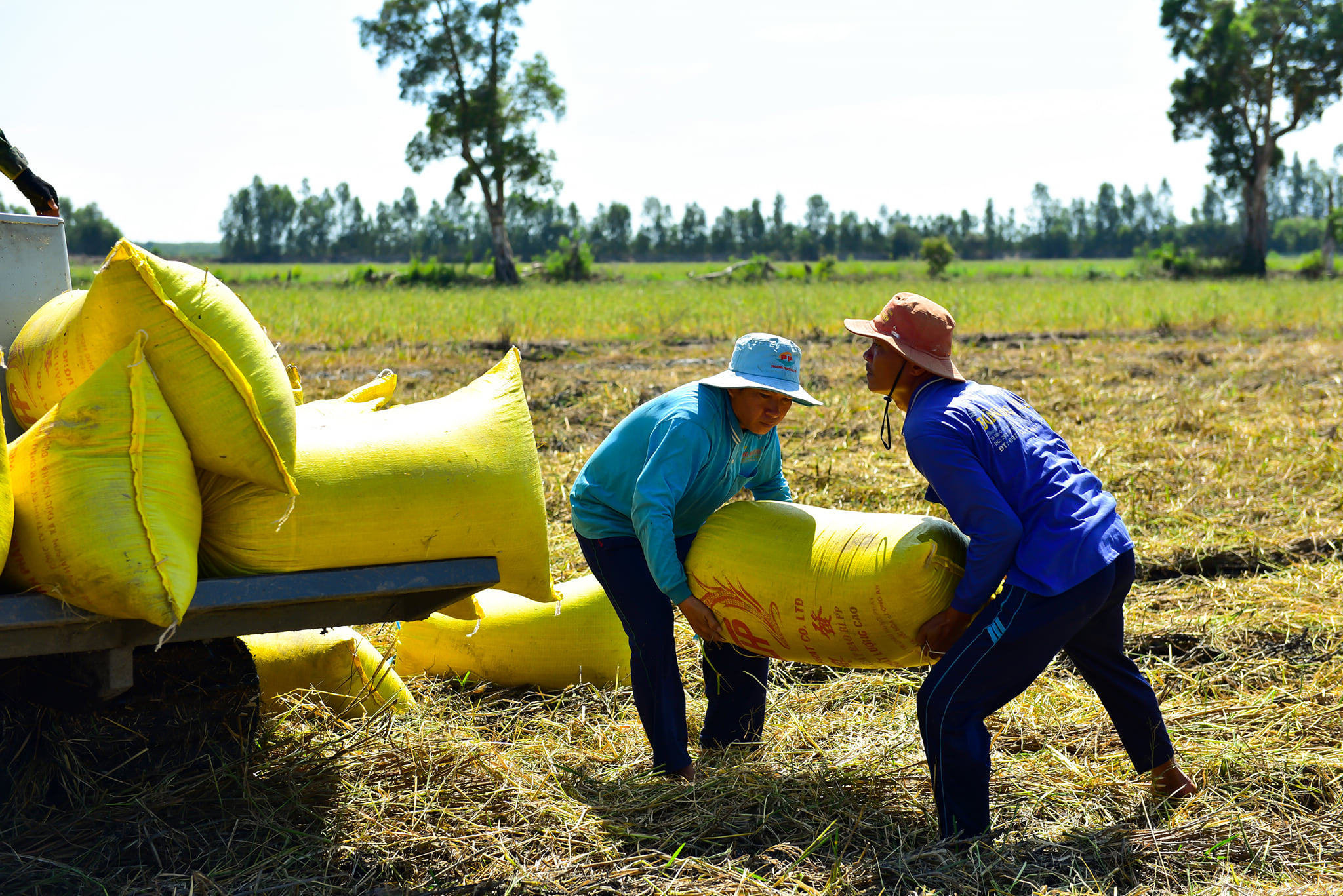 7 tháng cả nước xuất siêu 763,5 triệu USD - ảnh 1