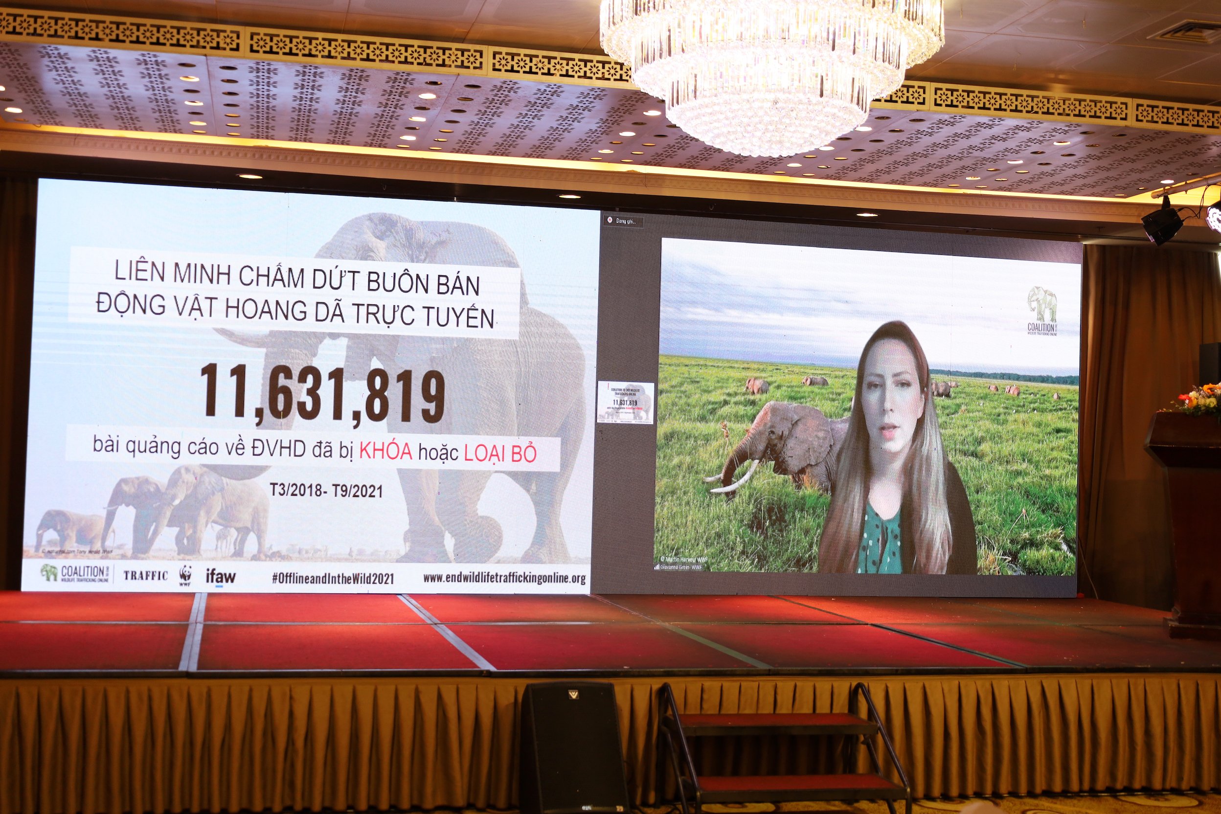 Thủ đoạn buôn bán động vật hoang dã trên thị trường thương mại điện tử ngày một tinh vi - ảnh 4