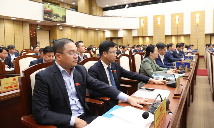 Thông qua Nghị quyết ban hành Danh mục dịch vụ sự nghiệp công lĩnh vực công thương - ảnh 1