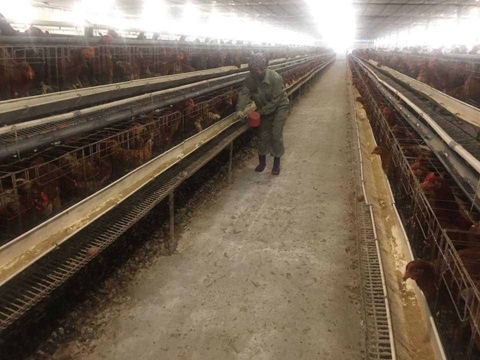 Quỹ khuyến nông Hà Nội: “Bệ phóng” cho nông dân phát triển nông nghiệp, dịch vụ nông thôn - ảnh 2