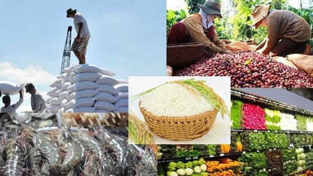 Nông nghiệp luôn là 'trụ đỡ bảo hiểm' về mặt xã hội - ảnh 1