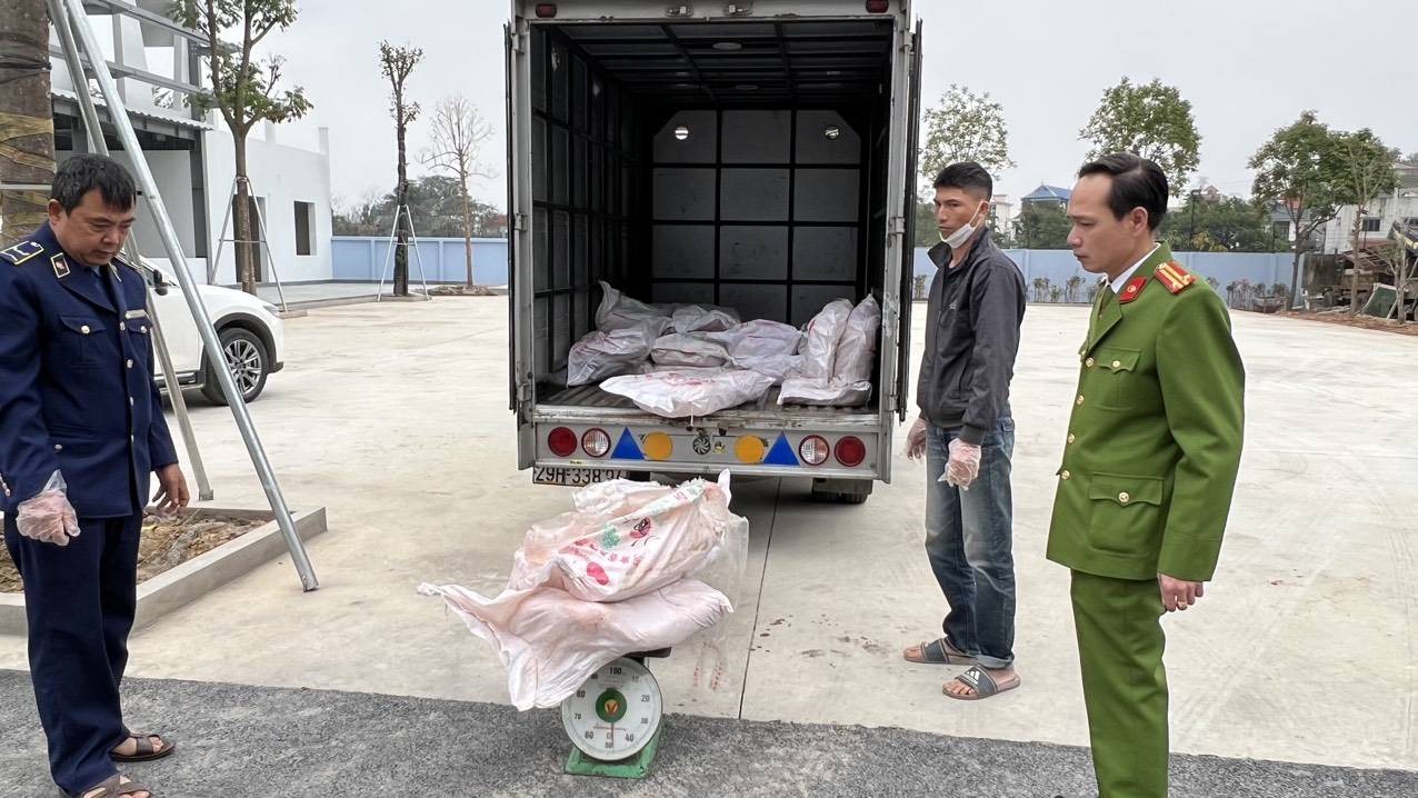 700kg nầm lợn không rõ nguồn gốc xuất xứ bị tạm giữ - ảnh 1