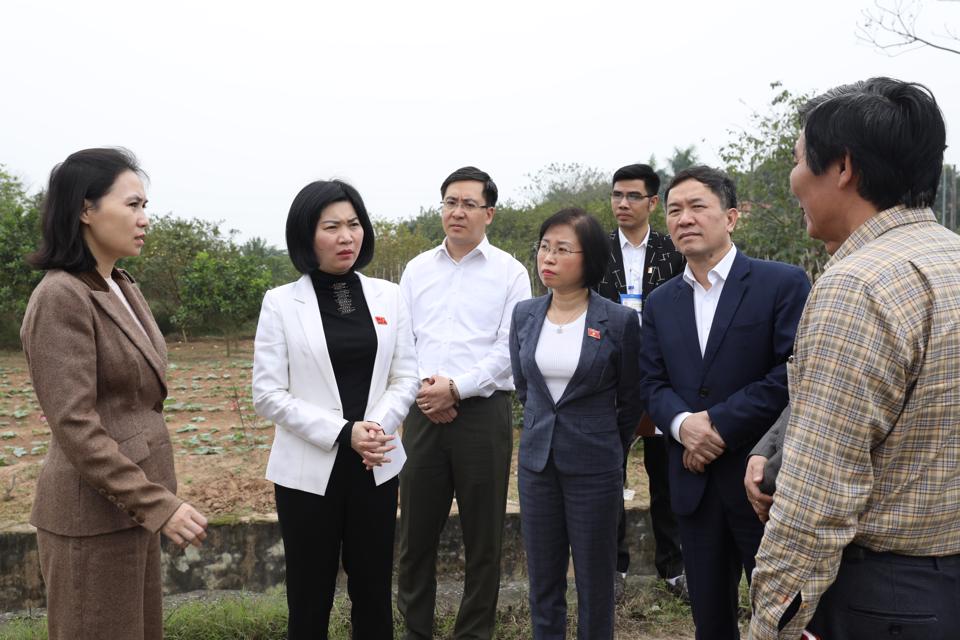Đảm bảo không bỏ sót các trường hợp được đền bù giải phóng mặt bằng - ảnh 2