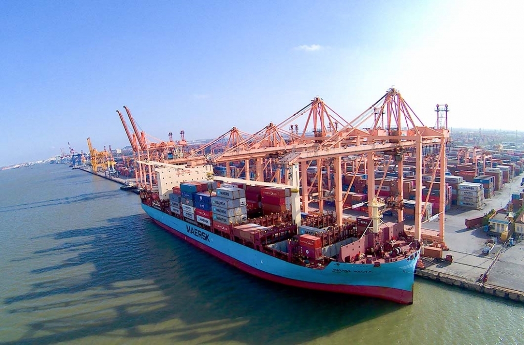 Bắt giữ và xử lý 1.259 vụ việc vi phạm pháp luật Hải quan - ảnh 1